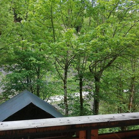 Chalet Au Pont De Flon Le Cornix Экстерьер фото